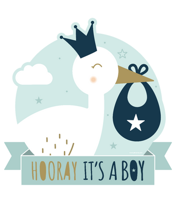 Huldeschild Hooray It&apos;s a Boy (50x50cm)