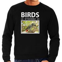 Grijze roodstaart papegaai foto sweater zwart voor heren - birds of the world cadeau trui Papegaaien liefhebber 2XL  - - thumbnail