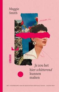 Je zou het hier schitterend kunnen maken - Maggie Smith - ebook