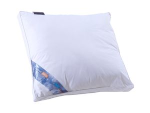 Hoofdkussen Lara Airolite | | totaalBED