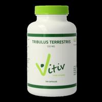 Vitiv Tribulus terrestris 500mg groen 100 Capsules