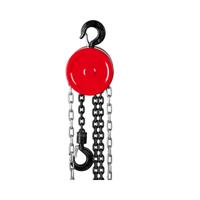 Kettingtakel - 1000 kg - 6 m