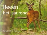 Reeën het jaar rond (Hardback) Reeën het jaar rond (Hardback)