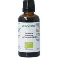 Natura Sanat Glechoma hederacea/hondsdraf bio