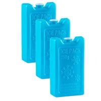 Plasticforte Koelelementen - 6x stuks - 250 grams - 13 x 7.5 cm - blauw - kunststof