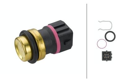 Temperatuursensor 6PT013113261