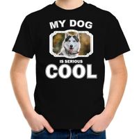 Honden liefhebber shirt Husky my dog is serious cool zwart voor kinderen XL (158-164)  -
