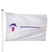 Vlag Bronckhorst