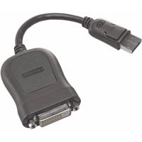 Lenovo 45J7915 DisplayPort / DVI Adapter [1x DisplayPort stekker - 1x DVI-bus 24+1-polig] Zwart - thumbnail