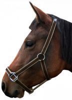 S2G halster pony 48 x 35 x 3,5 cm leer donkerbruin/beige - thumbnail