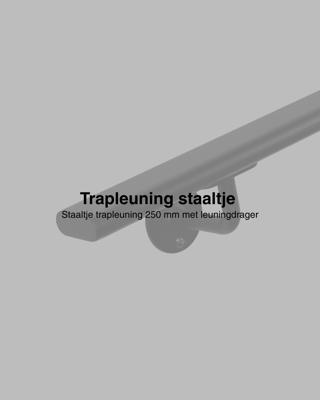 Staaltje trapleuning ovaal-zwart Staaltje trapleuning ovaal-zwart