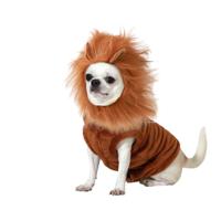 Kostuum voor honden Maat S Leeuw - thumbnail