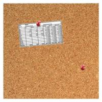 Kurkbord desq 35x35cm randloos + push pins