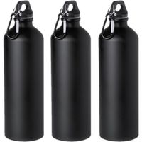 3x Stuks aluminium waterfles/drinkfles zwart met schroefdop en karabijnhaak 800 ml