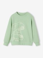 Jongenssweater Basics met grafische motieven pistache - thumbnail
