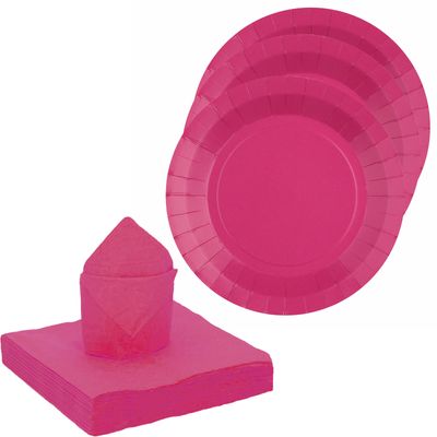 Feest/verjaardag servies set 20x bordjes/25x servetten - fuchsia roze - karton