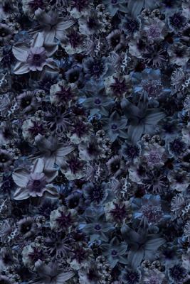 Moooi Carpets - Laagpolig Vloerkleed Flowergarden Rectangle Night Low Pile - 300x400 cm