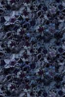 Moooi Carpets - Laagpolig Vloerkleed Flowergarden Rectangle Night Low Pile - 300x400 cm