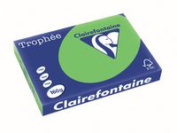 Clairefontaine Trophée Intens, gekleurd papier, A3, 160 g, 250 vel, grasgroen - thumbnail