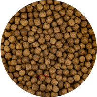 Vivani Top Growth 6mm Koivoer - Eiwitrijk & Kleurversterkend - 6 Kilo Zak