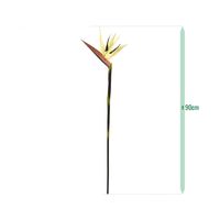 Strelitzia tak Deluxe 90cm Creme