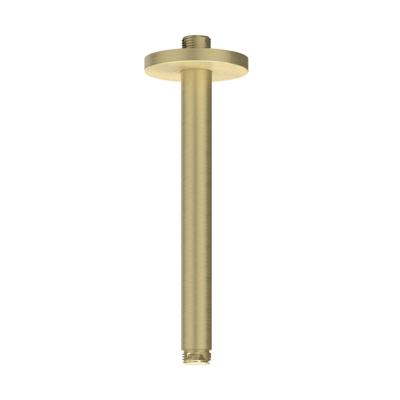 Plafondbuis IVY 20 cm 1/2 Geborsteld Mat Goud PVD