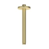 Plafondbuis IVY 20 cm 1/2 Geborsteld Mat Goud PVD