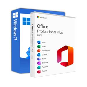 Office Pro Plus 2021 & Windows 11 combi deal