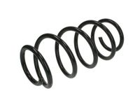 Chassisveer SW123MT