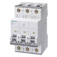 Siemens 5SY43406 5SY4340-6 Zekeringautomaat 40 A 230 V, 400 V