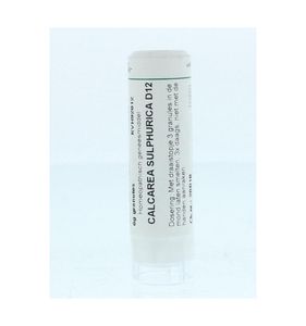 Calcarea sulphurica D12