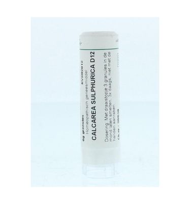 Calcarea sulphurica D12