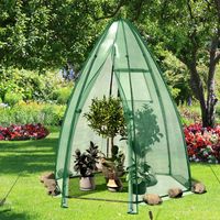 Foliebroeikas Broeikas met All-Weather PE-Afdekking Tomatenhuis voor Potplanten 160 x 160 x 183 cm
