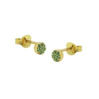 Karma Oorbellen Zirconia Emerald Green Disc | Goud