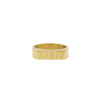 Gegraveerde initialen bar ring - Stainless steel - Goud - Ringmaat 19