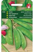 Peulen Grijze Roodbloeiers - Tuinplus