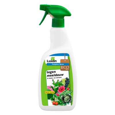 Fungalux spray 750 ml - Luxan