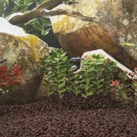 Lavastenen 10 kg 5-8 mm rood