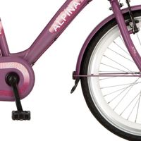 Alpina Spatbord set 22 vivid purple matt