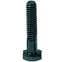 B.I.G. Schroef 1/4" 31mm