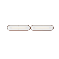 A-N-D - Vale Acrylic 2 units End to End Horizontaal Wandlamp/Plafondlamp