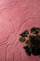 Ted Baker - Romantic Magnolia Pink 162702 - 140x200 cm Vloerkleed