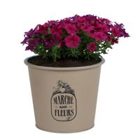 Plantenpot/bloempot voor buiten - zink - taupe - D19 x H16 cm