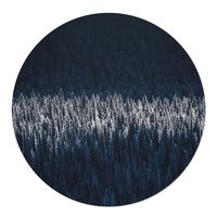 Muurcirkel Forest by Night Zelfklevend Behang 40 Geen