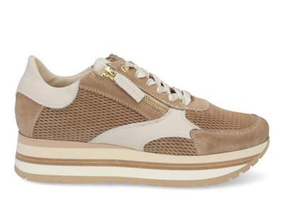DL Sport 6982 vers 02 moonligh Beige maat 40