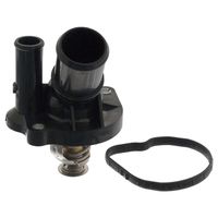 Thermostaat 100232
