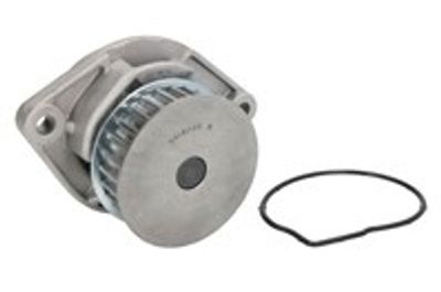 Waterpomp 538002610