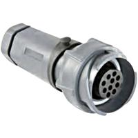 Bulgin PXP7011/32P/CR/0911 Ronde connector Stekker, recht Totaal aantal polen: 32 Serie (ronde connectoren): Buccaneer 7000 1 stuk(s)