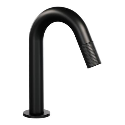 Opbouw Fonteinkraan Brauer Black Carving Edition Met Gebogen Uitloop Mat Zwart