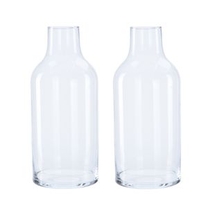 2x Glazen fles vaas/vazen 13,5 x 30 cm transparant 3300 ml